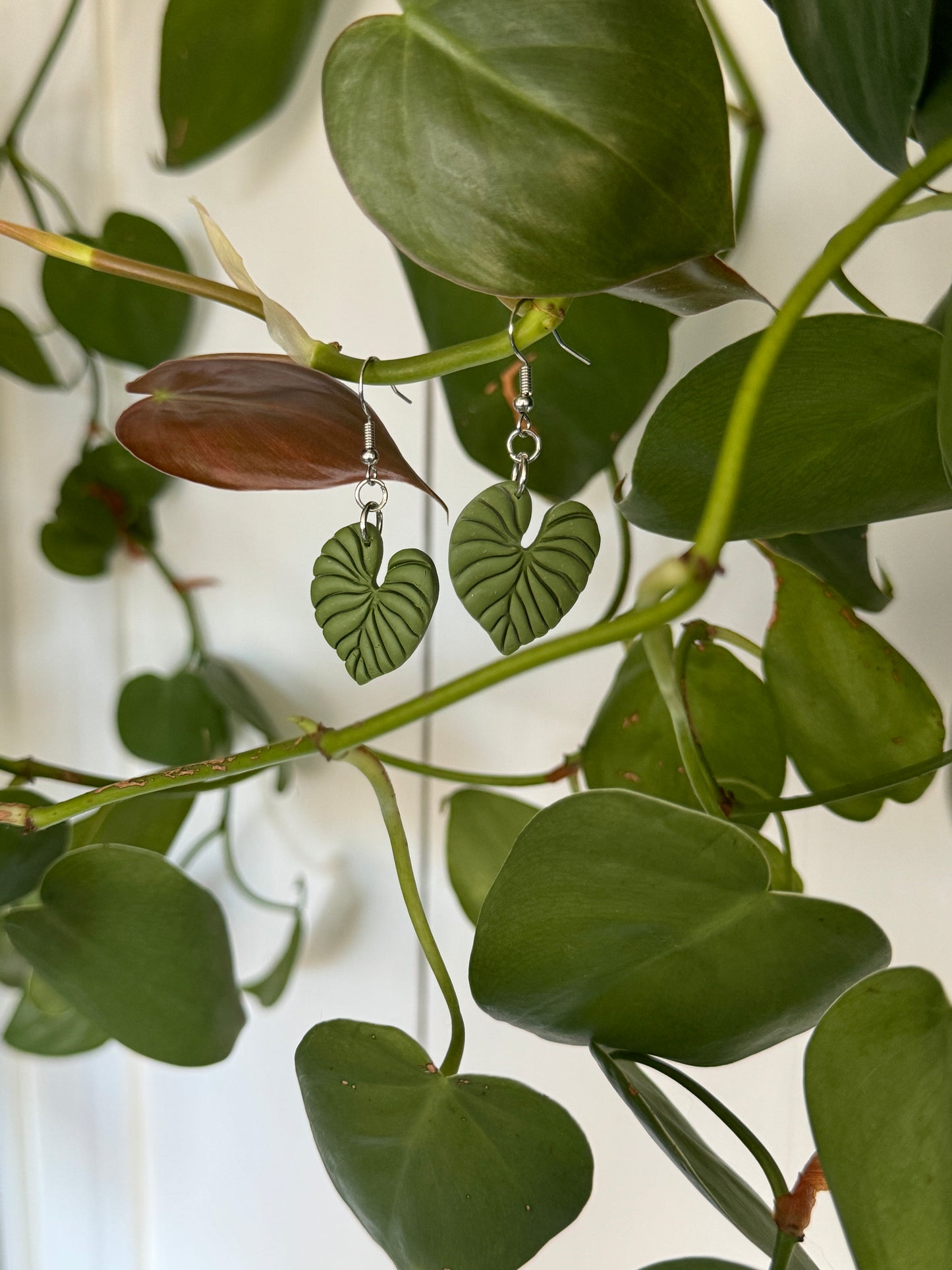 Philodendron Leaf Earrings