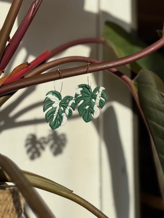 Monstera Albo Leaf Earrings