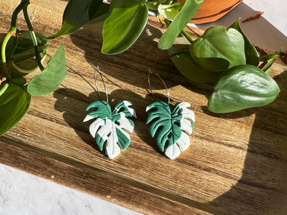 Monstera Albo Leaf Earrings