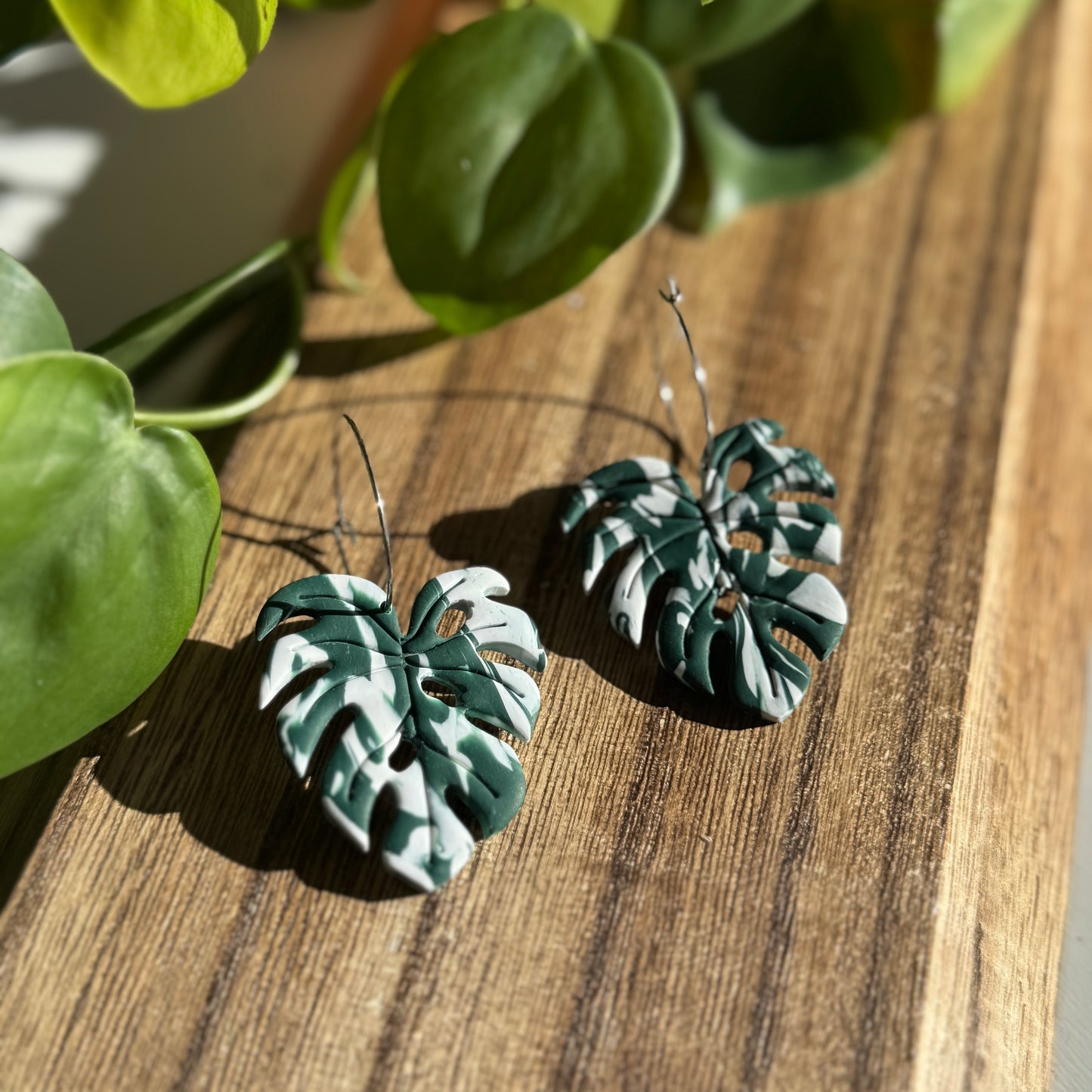 Monstera Albo Leaf Earrings